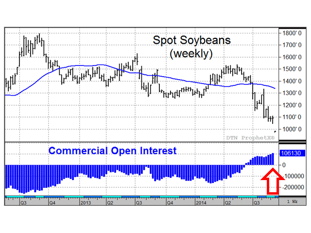 The chart above shows that commercials have recently turned net long in soybean futures for the first time since December of 2011, a sign that prices are offering good economic value and suggests that support should be near. (DTN chart)